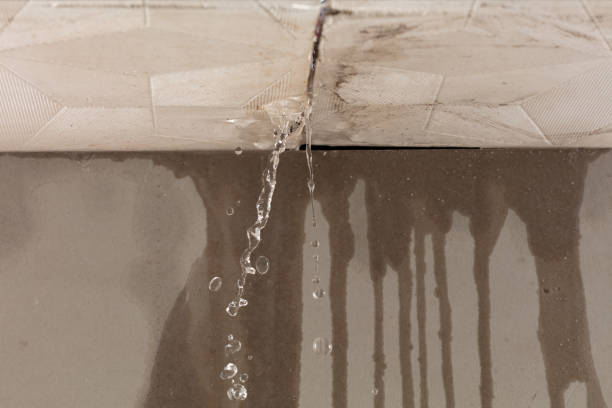 Professional Structural Drying technician working in Port Jefferson, NY
